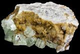 Sea-foam Green, Cubic Fluorite Crystal Cluster - Morocco #138249-2
